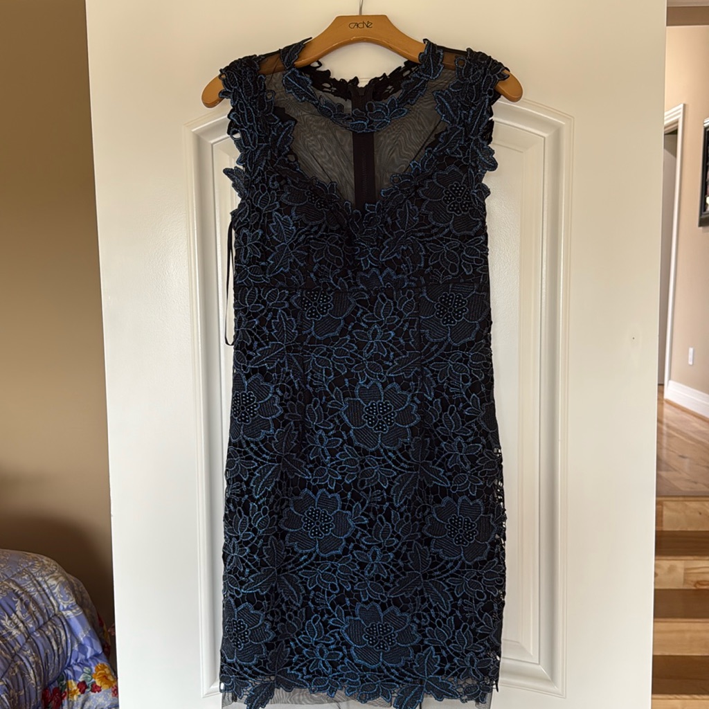 Cache - Blue Lace And Floral Dress